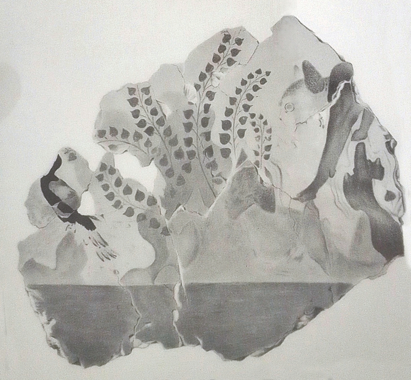  djeleas corgone c_28 