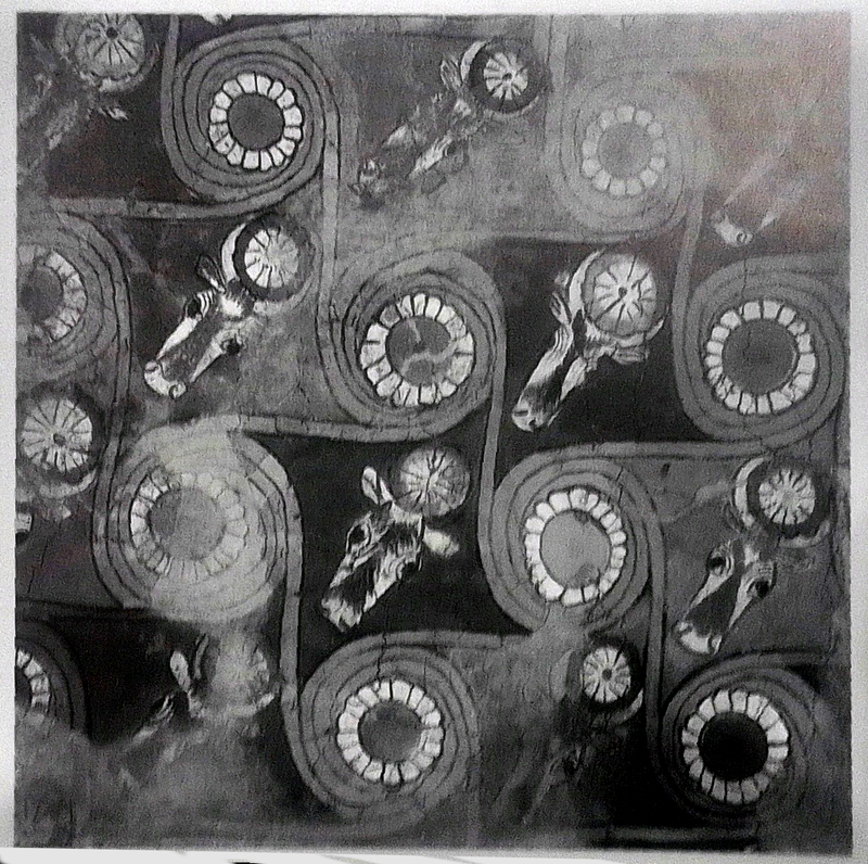  djeleas corgone s_20 